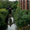  (岁月静好)的头像