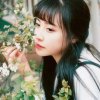 静若繁花*的头像