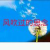 风吹过的思念(晚安!……)的头像