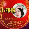 燕子的头像