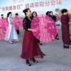 天堂鸟的头像