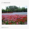 梦美的头像