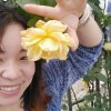 冬去春来的头像