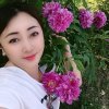 玫瑰人生的头像