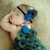 水春的头像
