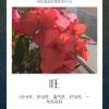 懂你的头像