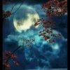 潇烟慕雨的头像