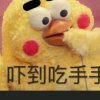 泉州刺桐树的头像