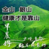 惜狐的头像