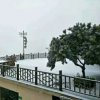情深深,雨濛濛的头像