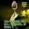 随遇而安的头像