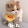 三木的头像
