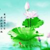 好心情的头像
