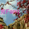 芳芳的头像