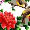 开心快乐每一天的头像