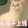 今生有你的头像