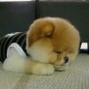 佛缘的头像
