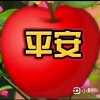 Good lucky的头像