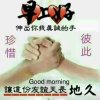 为了愉乐(拒聊)的头像