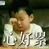 (爱的港湾）的头像