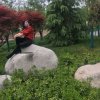 成元红的头像