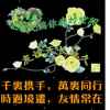 潇湘夜雨的头像