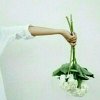羡的头像