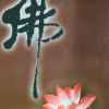 万物随缘的头像