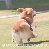 橘淮南的头像
