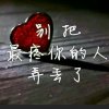 酒润꧁✿༺语嫣༻✿꧂巜拒私》的头像