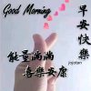 陈竹《暂离》的头像
