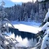 北国飘雪的头像