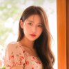 梅花的头像