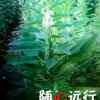 努力奋斗的头像