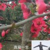 真爱一生的头像