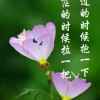 开心的头像