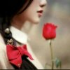 玫瑰的头像