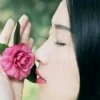 有缘来相会的头像