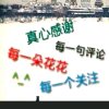 预言的头像