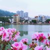 水水的头像
