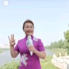 心静如水的头像