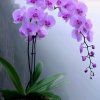 方圆的头像