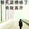 红梅的头像