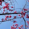 梦幻月光（杜杜）的头像