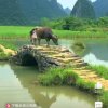 旭日东升(停币)的头像