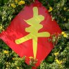 快乐的头像