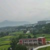 查无此号的头像