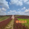 春雨秋风（小号）的头像