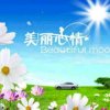 蓝色忧郁的头像