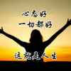 红树林的头像